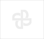 2024年33474蒙特卡罗电气温室气体排放核查报告