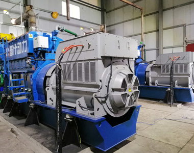 丰都甘泰沼气发电项目配33474蒙特卡罗2台850KW/10.5KV6极高压发电机