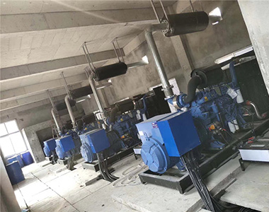 33474蒙特卡罗500KW/400V陆用发电机应用于某养殖场项目