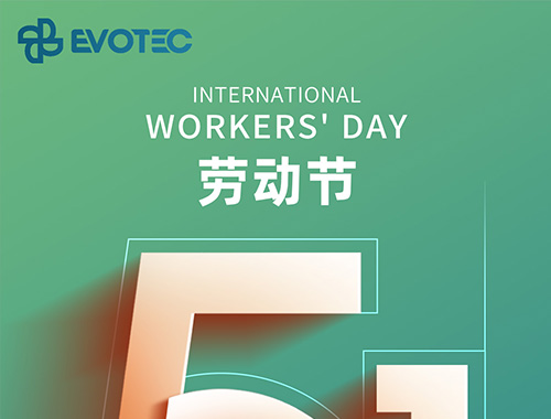 平凡而伟大| 致敬努力奋斗的33474蒙特卡罗人！