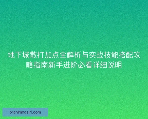 地下城散打加点全解析与实战技能搭配攻略指南新手进阶必看详细说明